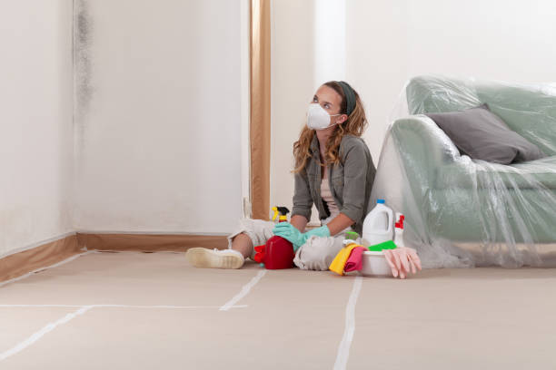 Reliable Mold Testing contractor in Decatur, TN by WQB Mold Removal